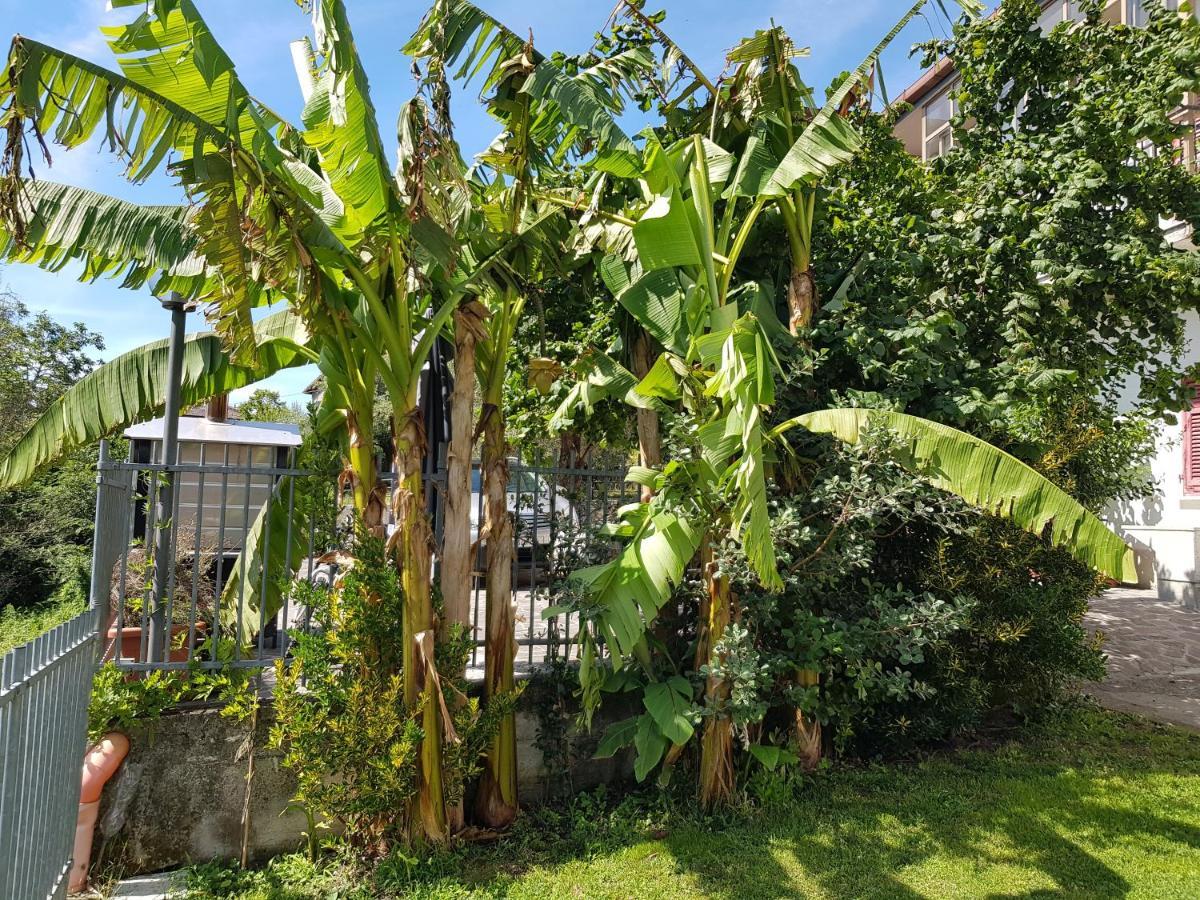 Casa Luigina Villa Vezzola Esterno foto