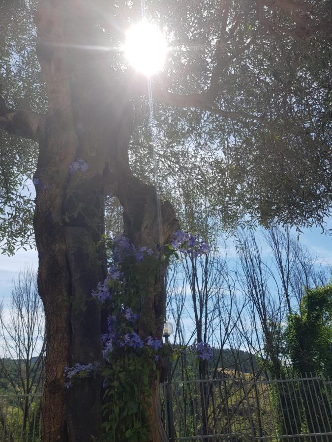 Casa Luigina Villa Vezzola Esterno foto